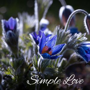 Simple Love