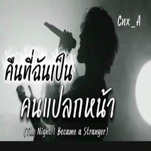 คืนที่ฉันเป็นคนแปลกหน้า