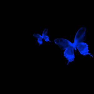 真的不快乐（DJ版）