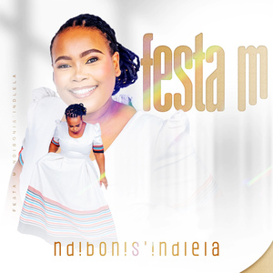 Ndibonis'indlela