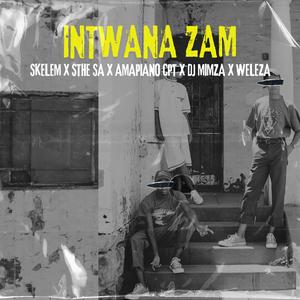 Intwana Zam (feat. Shandis RSA, Amapiano CPT, DJ Mimza & Weleza aka Mr operator)