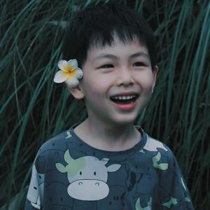 虫儿飞--柳治廷