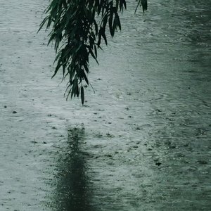 誓言回涩在冷色调阴雨天