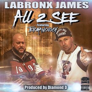 ALL 2 SEE (feat. Termanology)
