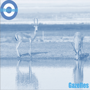 Gazelles