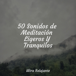 Horizontes Infinitos