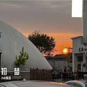 白日梦想家