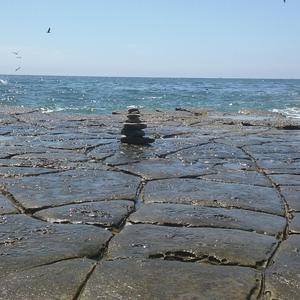 Shrouded by the Colors