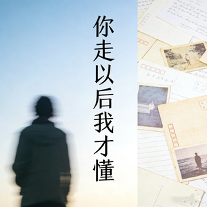 你走以后我才懂