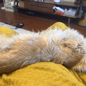 把任性当成了深刻