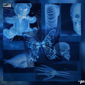 免费下载 阴の季节 dark type beat