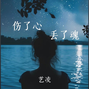 伤了心丢了魂 (DJ德朋版)