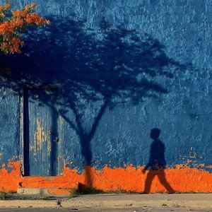 I'm Learning to Let Go