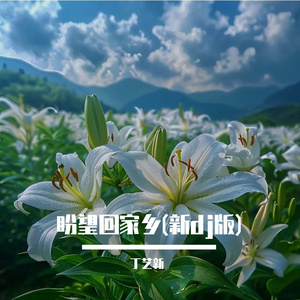 盼望回家乡(新dj版)