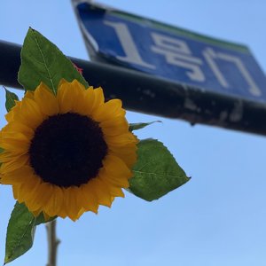 明明不是下雨天