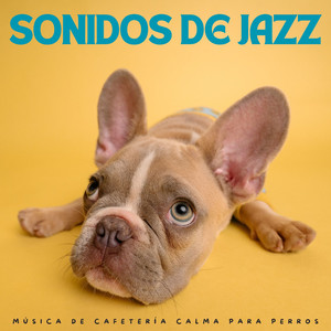 Granos De Café Y Vibraciones De Jazz
