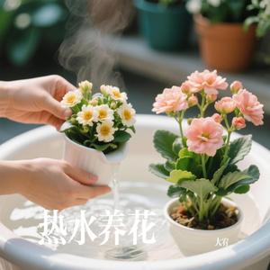 热水养花