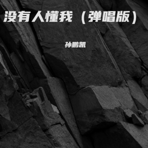 没有人懂我(弹唱版)