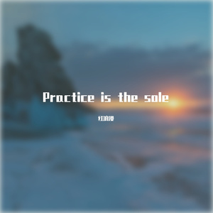 Practice is the sole
