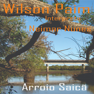 Arroio Saicã
