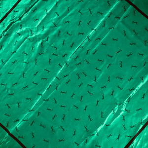 Green Shawl