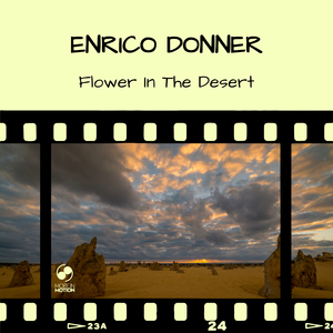 Flower in the Desert
