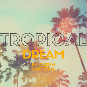 Tropical Dream