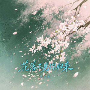 花落不见你归来