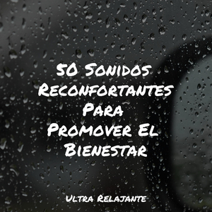 Vivificar
