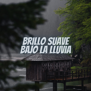 Sentimientos Encendidos