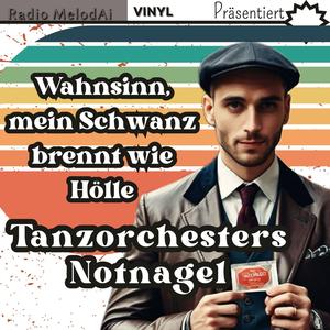 Das ist Wahnsinn, mein Schwanz brennt wie Hölle (Tanzorchester Notnagel Remix)