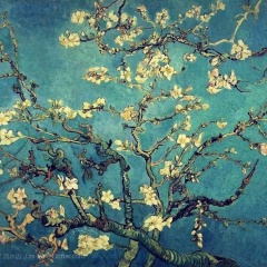 如果月光为你盛开 (钢琴曲)