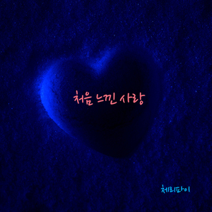 처음 느낀 사랑