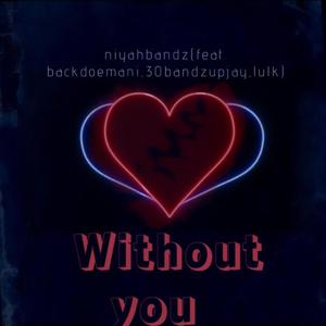 Without You (feat. Backdoemani, 30bandzupjay & Lulk)
