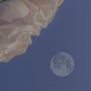 串烧二（冬天里的disco）remix