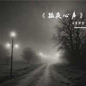 《孤夜心声》