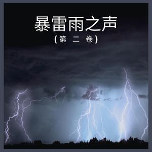 暴雷雨之声 (第 二 卷),48部