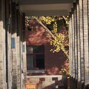 科技楼即兴（wxy）