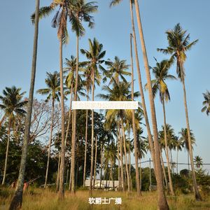 办公室工作抚慰的爵士