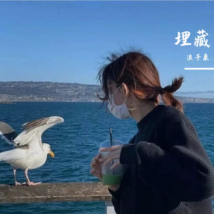 南风北巷（DJ浪子康版）