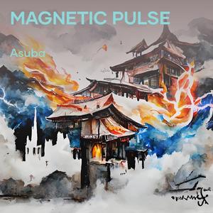 Magnetic Pulse
