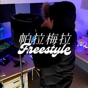 帕拉梅拉 Freestyle