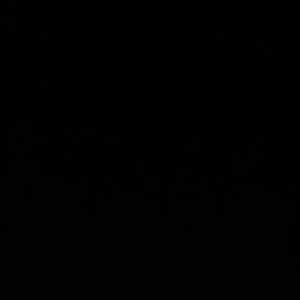 Just have a good time