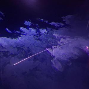 你我共存过的那些昼与夜