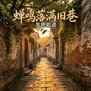蝉鸣落满旧巷