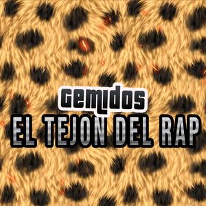 Gemidos