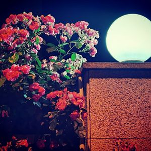 当唱诗班歌声响起（Demo）