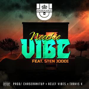 Neechie Vibe (feat. Sten Joddi)
