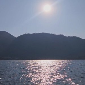 枯木逢春(3.12)