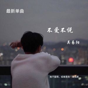 不爱不说 伴奏